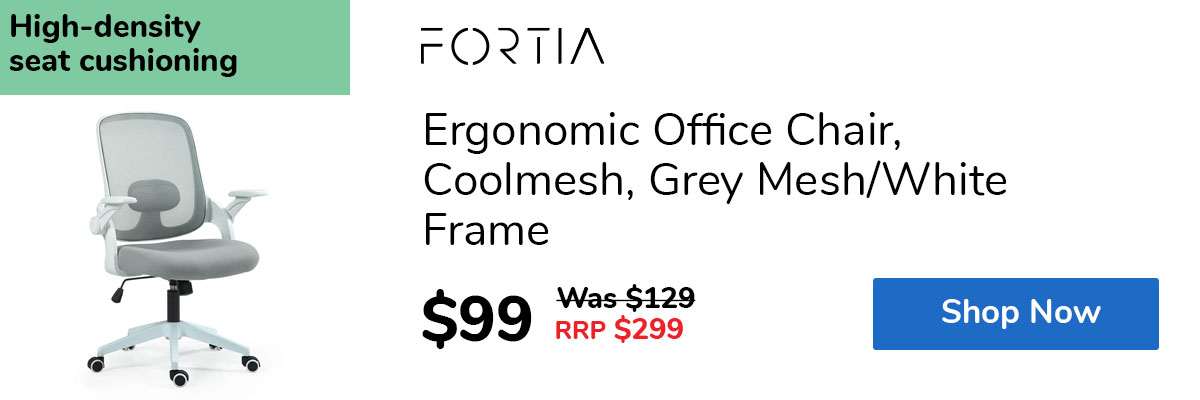 Ergonomic Office Chair, Coolmesh, Grey Mesh/White Frame