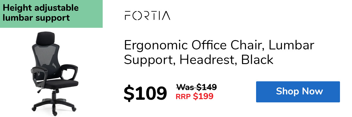 Ergonomic Office Chair, Lumbar Support, Headrest, Black