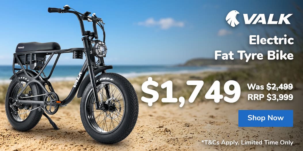 Electric Fat Tyre Bike