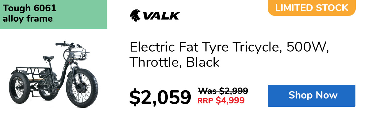 Electric Fat Tyre Tricycle, 500W, Throttle, Black