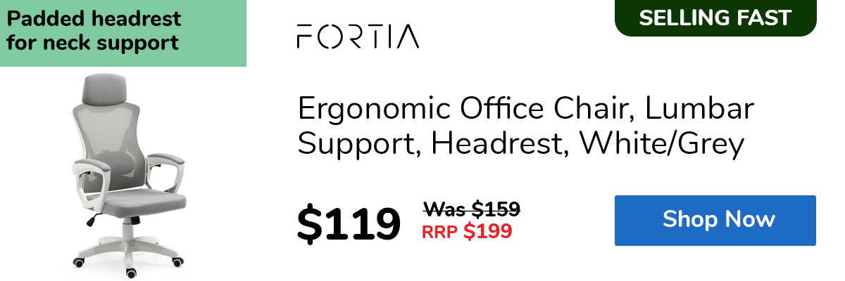 Ergonomic Office Chair, Lumbar Support, Headrest, White/Grey