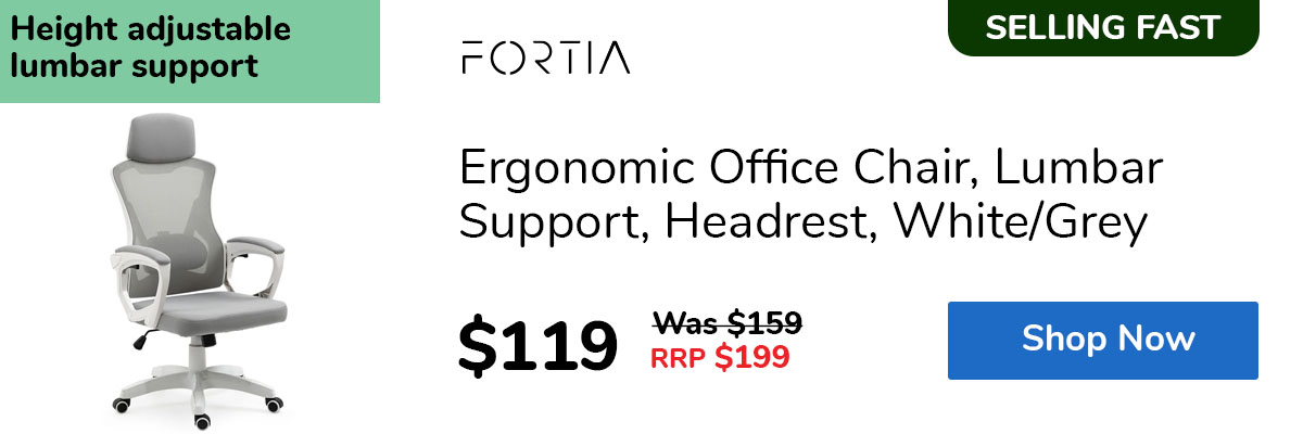Ergonomic Office Chair, Lumbar Support, Headrest, White/Grey