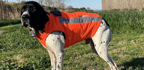 Gilet pour chien Rhino Dog ProHunt Ligne de Verney-Carron