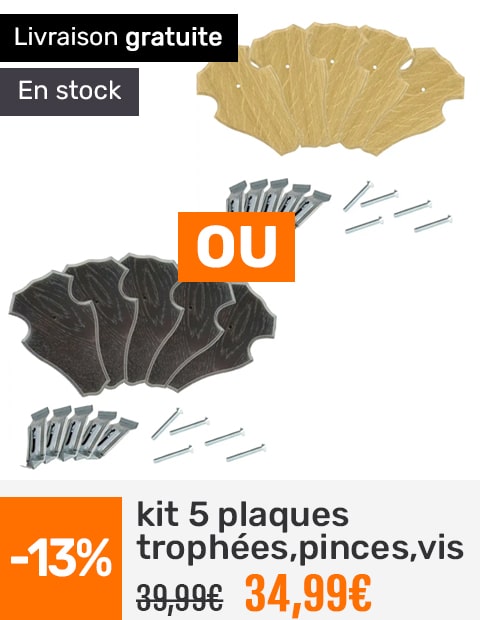 kit de 5 plaques trophées avec pinces et vis