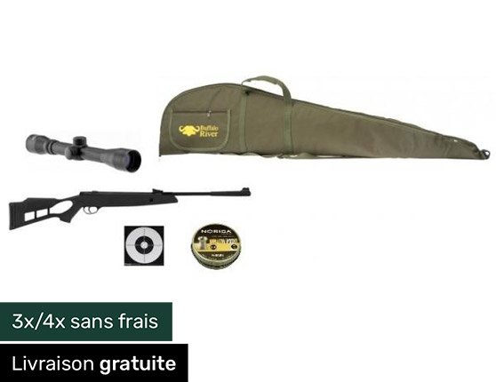 Pack carabine à plomb Hatsan Striker synthétique cal.4.5 lunette 4x32 + fourreau + Cible + plomb