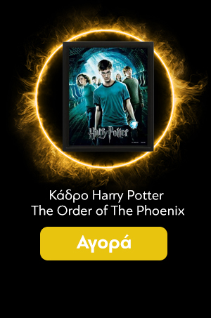 Κάδρο Harry Potter The Order of The Phoenix