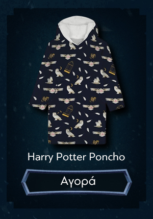 Harry Potter Poncho