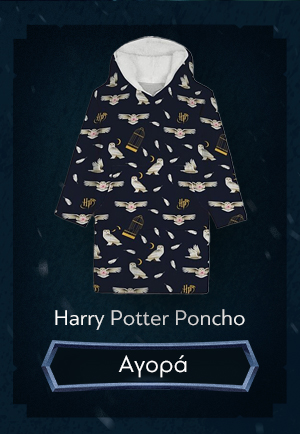 Harry Potter Poncho