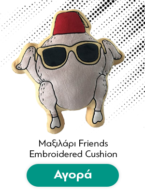 Μαξιλάρι Friends Embroidered Cushion