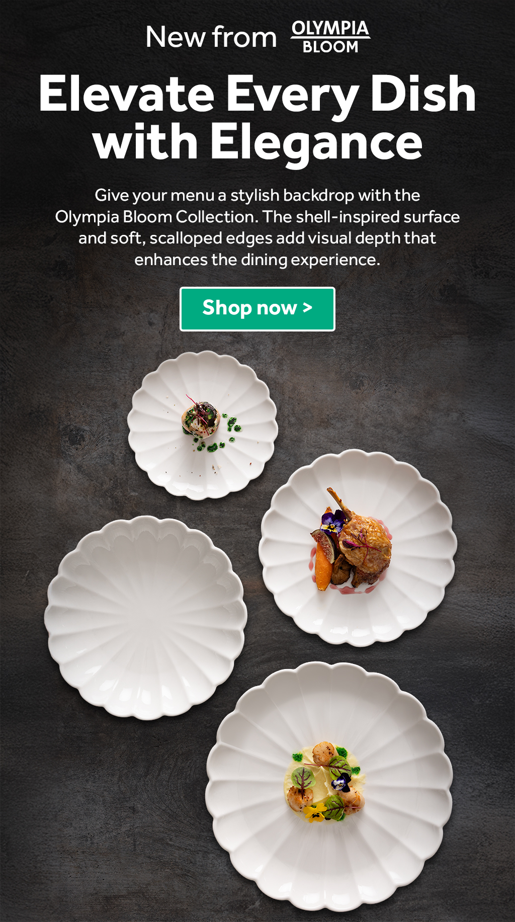 new Olympia Bloom. shop now