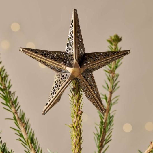 Bishakha Star Tree Topper