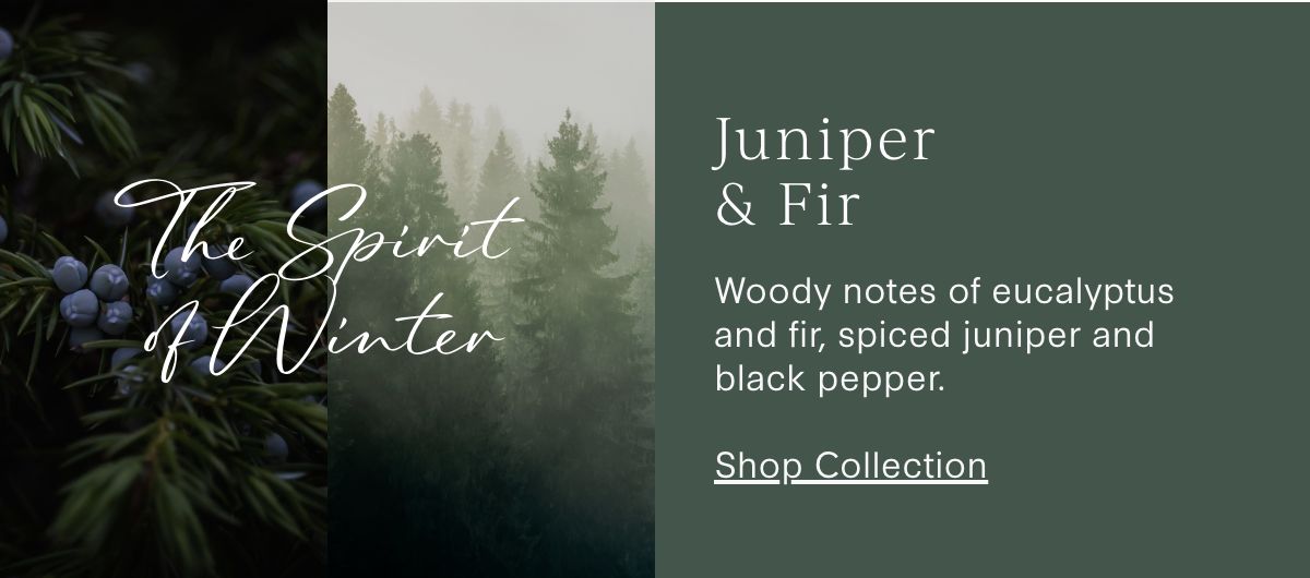 Juniper & Fir