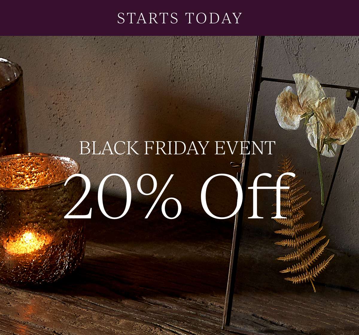 Black Friday Event 20% Off Starts Today
