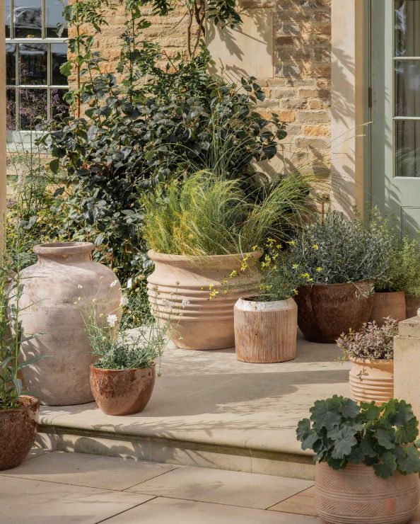 Summer Planting