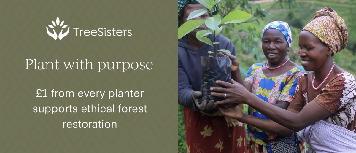 Tree Sisters