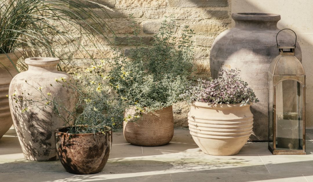 Sale Garden