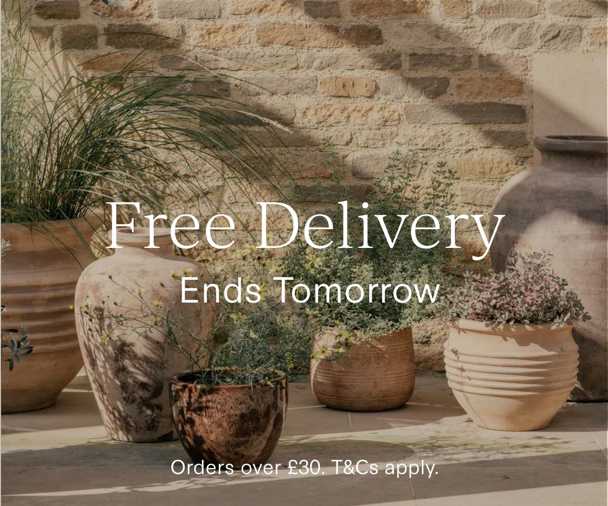 Free Delivery On All Collections