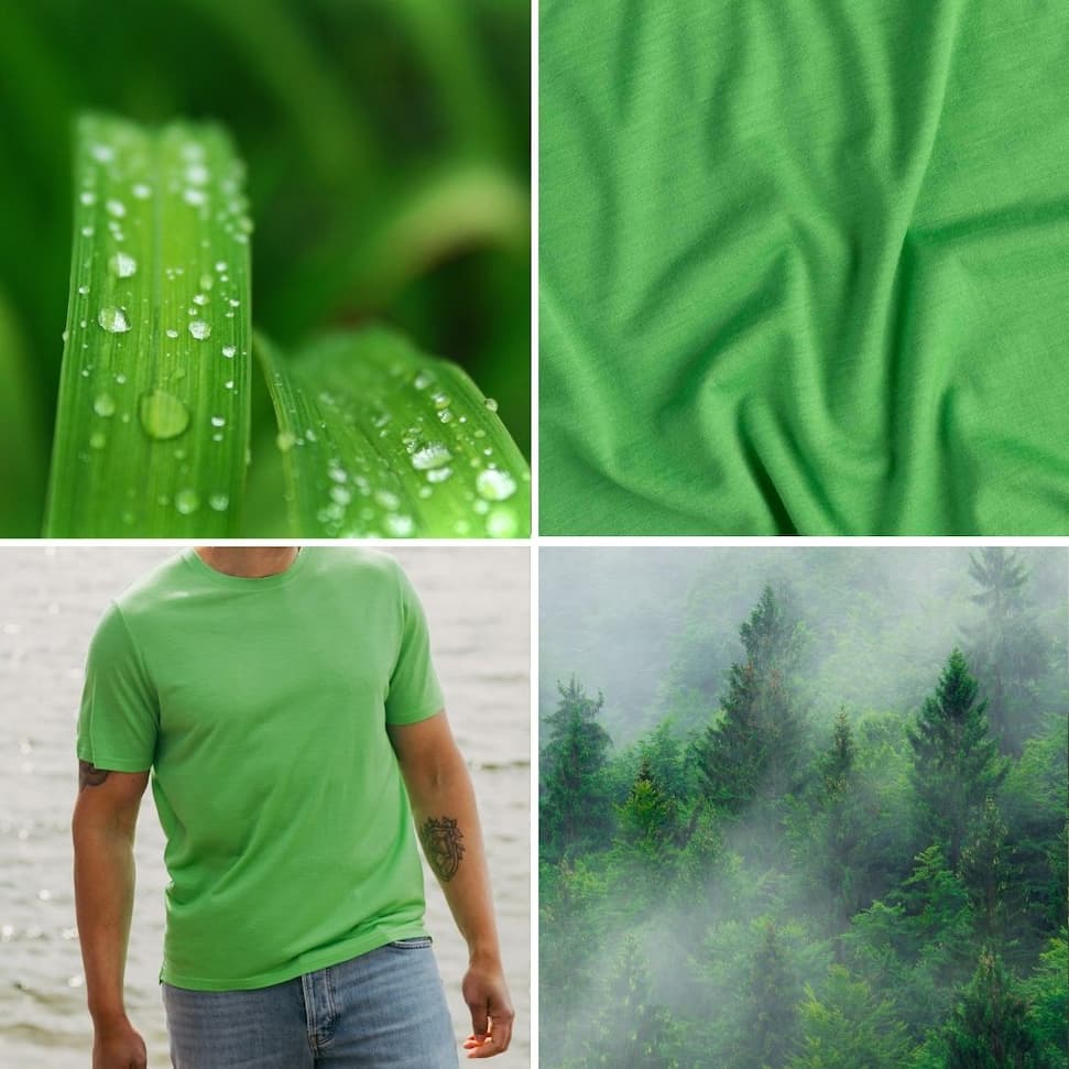 Ruohonvihreää väriä kuvaavia elementtejä luonnosta.