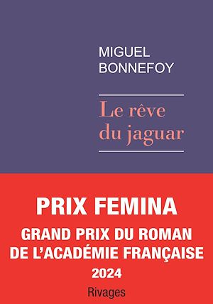 ebook prix Fémina : Le rêve du jaguar