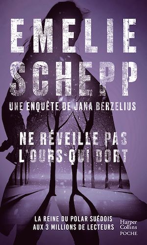 ebook thriller en promo : Ne réveille pas l'ours qui dort