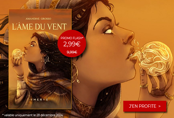 ebook offre flash : L'âme du vent