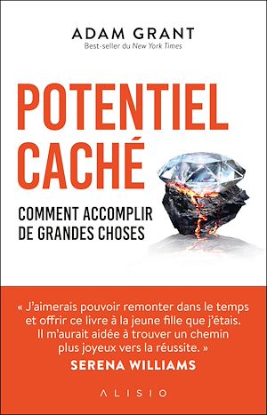 ebook en promo : Potentiel caché