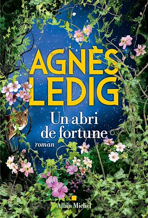 ebook en promo : Agnès Ledig, Un abri de fortune