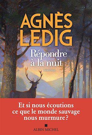 ebook en promo : Répondre à la nuit, Agnès Ledig