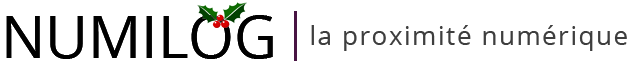 Numilog librairie numérique