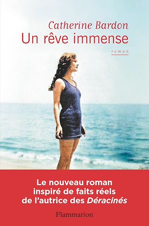 ebook nouveauté : Un rêve immense