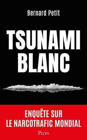 ebook essai : Tsunami blanc