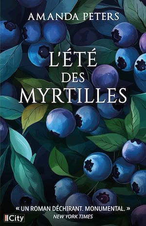 ebook nouveauté : L'été des myrtilles