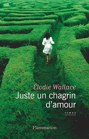 ebook nouveauté : Juste un chagrin d'amour