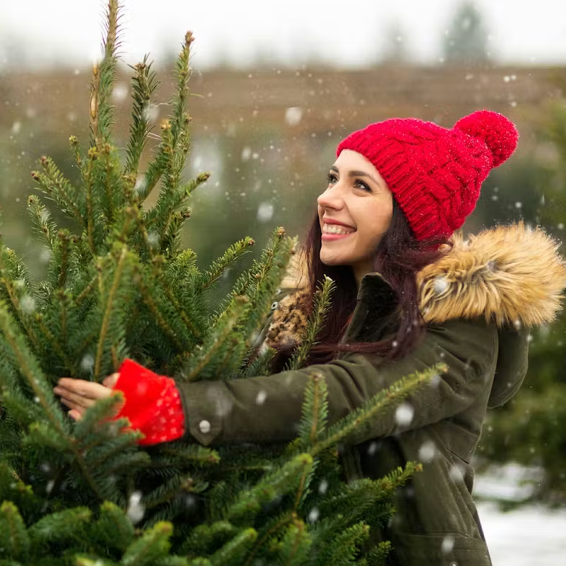 Projektowanie kuchni