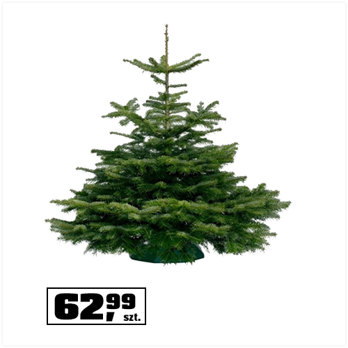 Bombki szklane szyszki