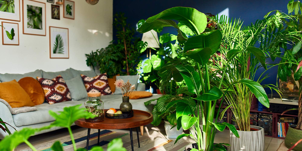 Zimowa dawka zieleni