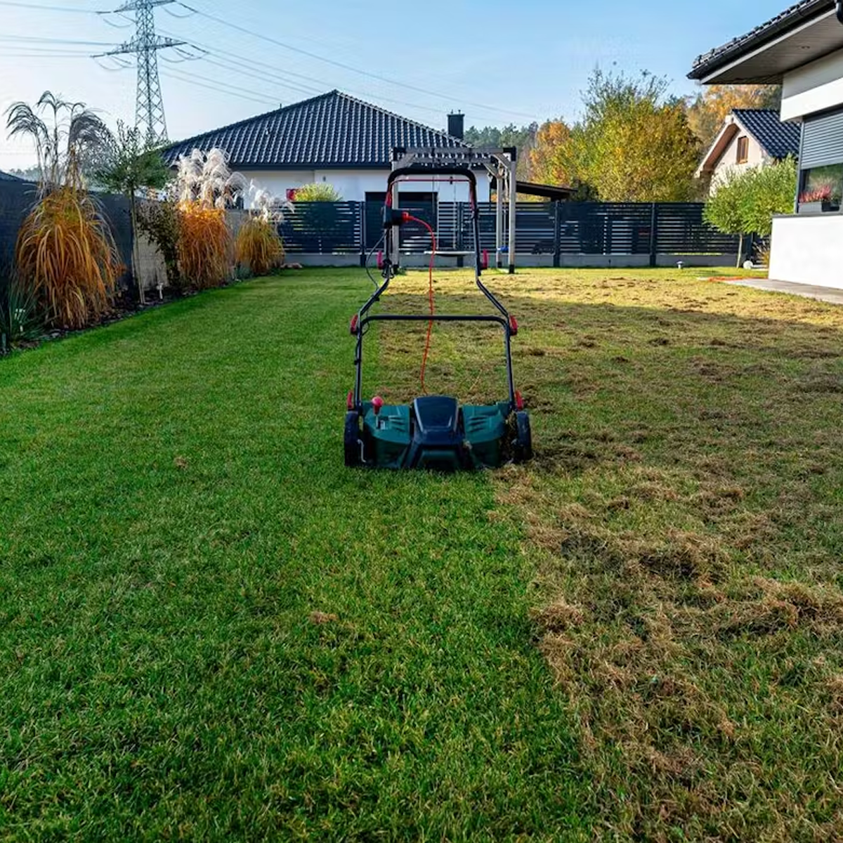 Dowiedz się więcej 