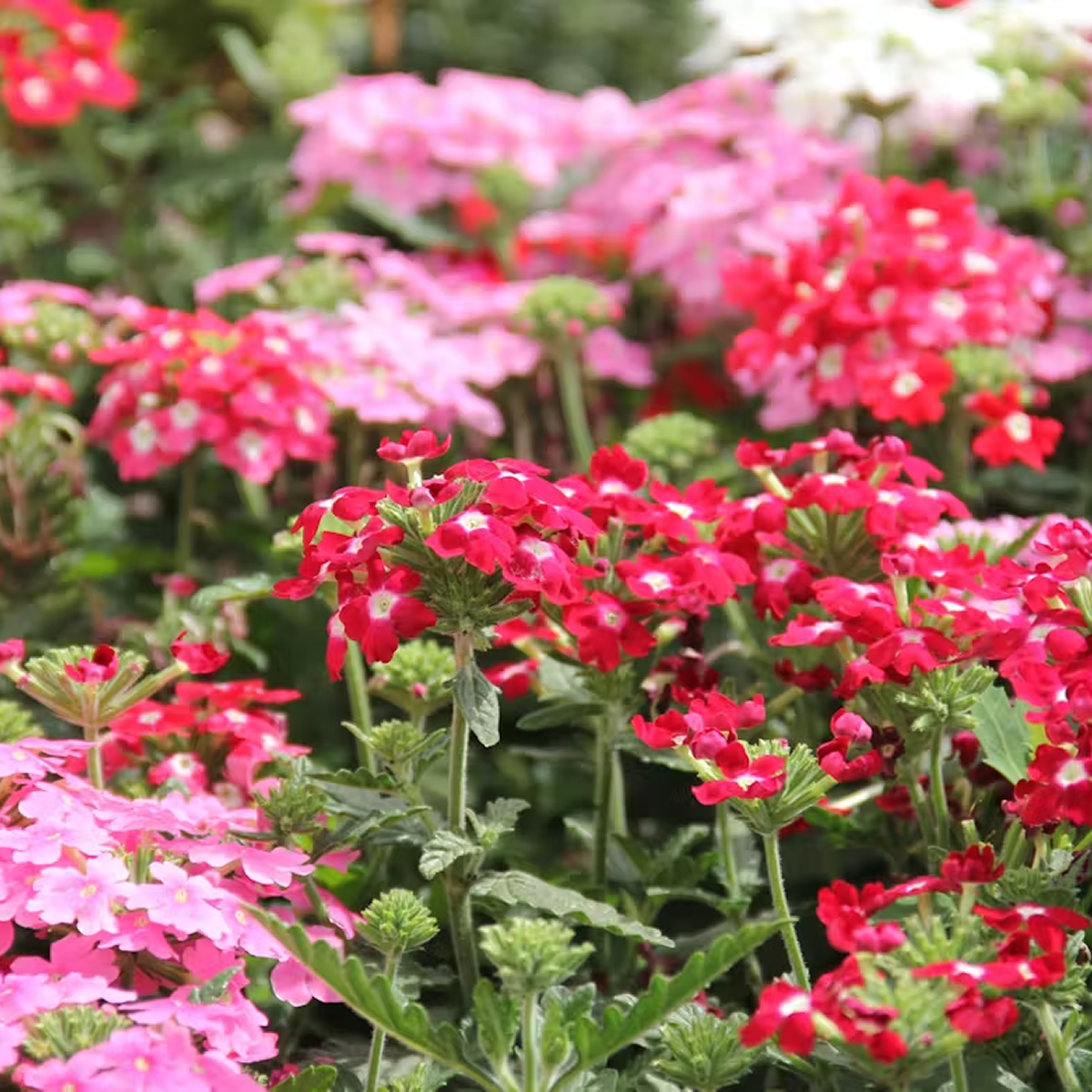 Dowiedz się więcej 