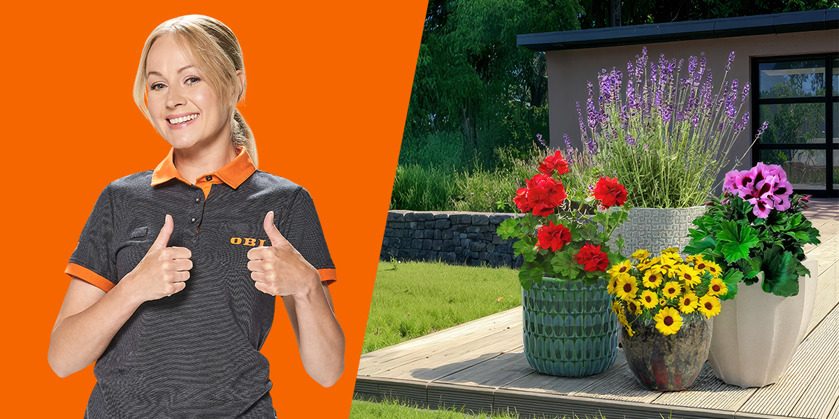 -20% na ponad 600 donic!