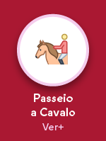 Passeios a Cavalo