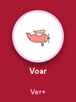 Voar