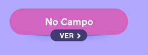 No Campo