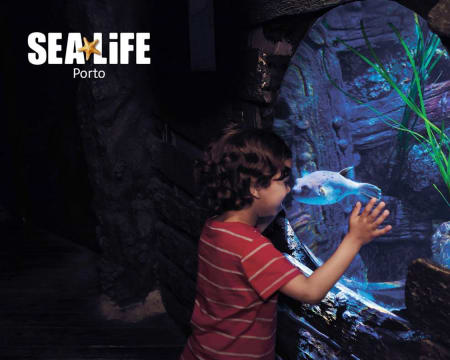 Bilhetes para o SEA LIFE Porto | O Aquário das Famílias com Mais de 3 Mil Criaturas Marinhas!