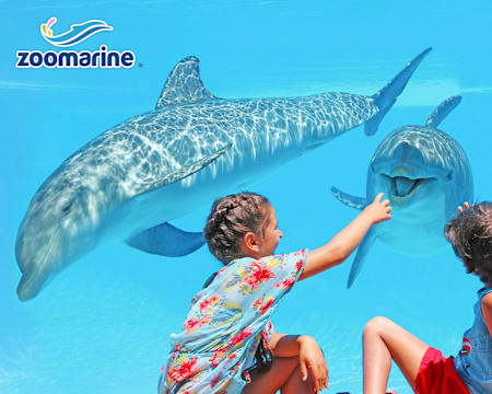 Bilhetes para o Zoomarine | Descubra o Mistério dos Oceanos em Família! Algarve