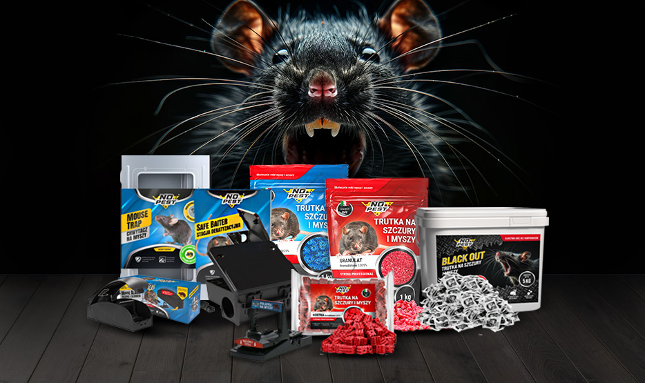 trutka na szczury, trutka na myszy, trutka na gryzonie, niebieska trutka na szczury, najmocniejsza trutka na szczury, mocna trutka na szczury, skuteczna trutka na szczury, najskuteczniejsza trutka na szczury, trutka na krety, trutka na kuny