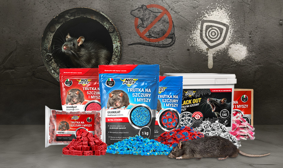 trutka na szczury, trutka na myszy, trutka na gryzonie, niebieska trutka na szczury, najmocniejsza trutka na szczury, mocna trutka na szczury, skuteczna trutka na szczury, najskuteczniejsza trutka na szczury, trutka na krety, trutka na kuny