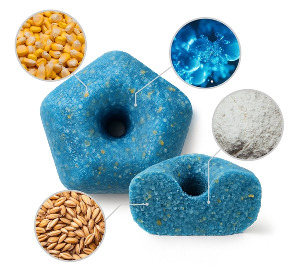 trutka na szczury, trutka na myszy, trutka na gryzonie, niebieska trutka na szczury, najmocniejsza trutka na szczury, mocna trutka na szczury, skuteczna trutka na szczury, najskuteczniejsza trutka na szczury, trutka na krety, trutka na kuny