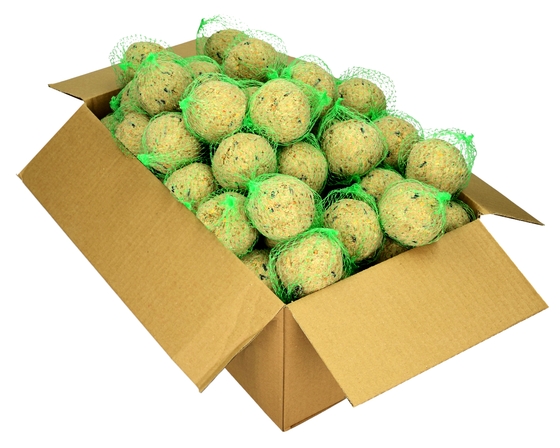 kule tłuszczowe dla ptaków na zimę dokarmianie