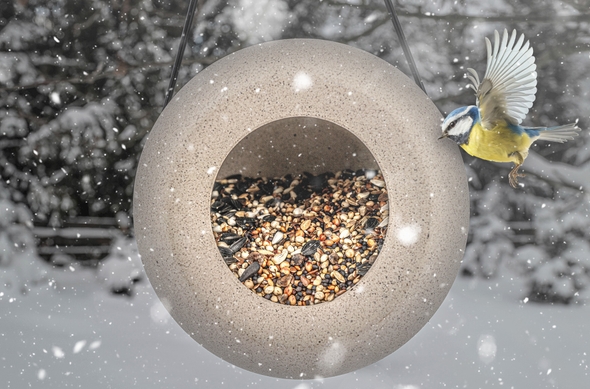 ziarno pokarm na zimę dla ptaków zimujących