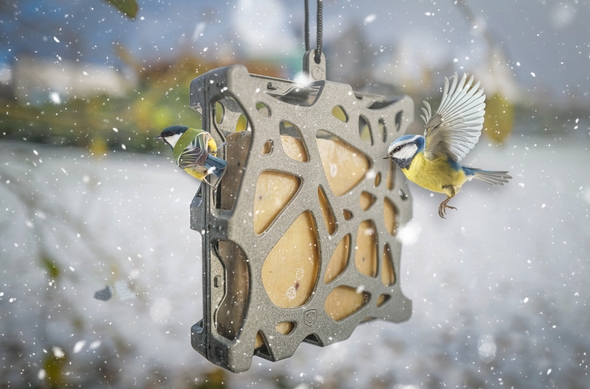 ziarno pokarm na zimę dla ptaków zimujących